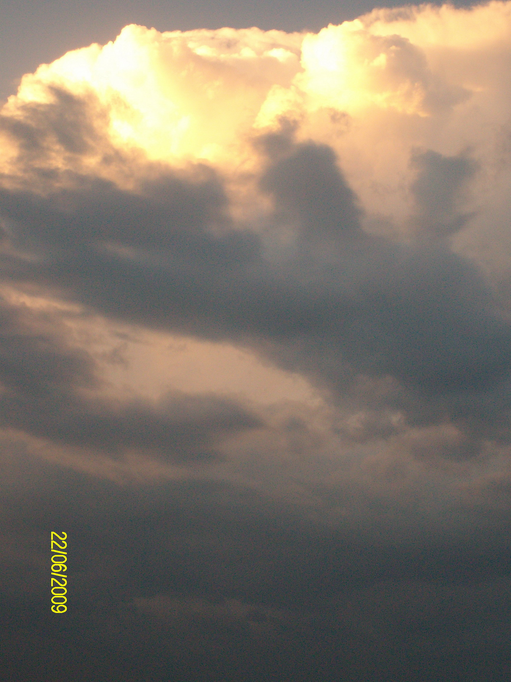 SANY0683.jpg