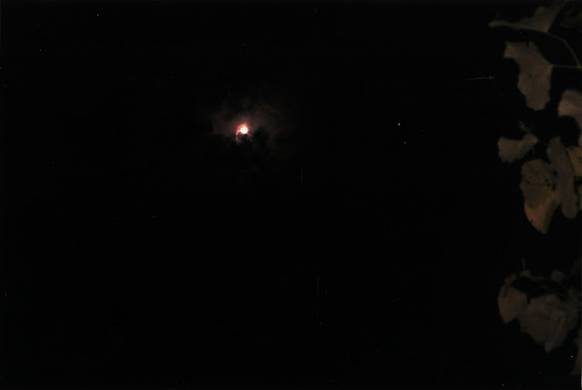 scan0006.jpg