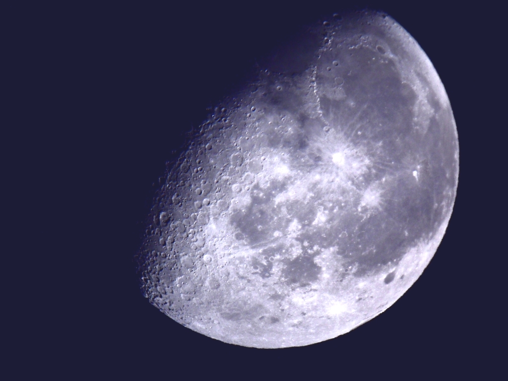 SDC10096.JPG