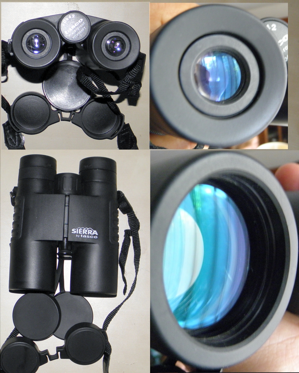SierraTasco10x42mic.jpg