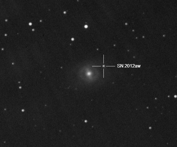 SN M95.jpg
