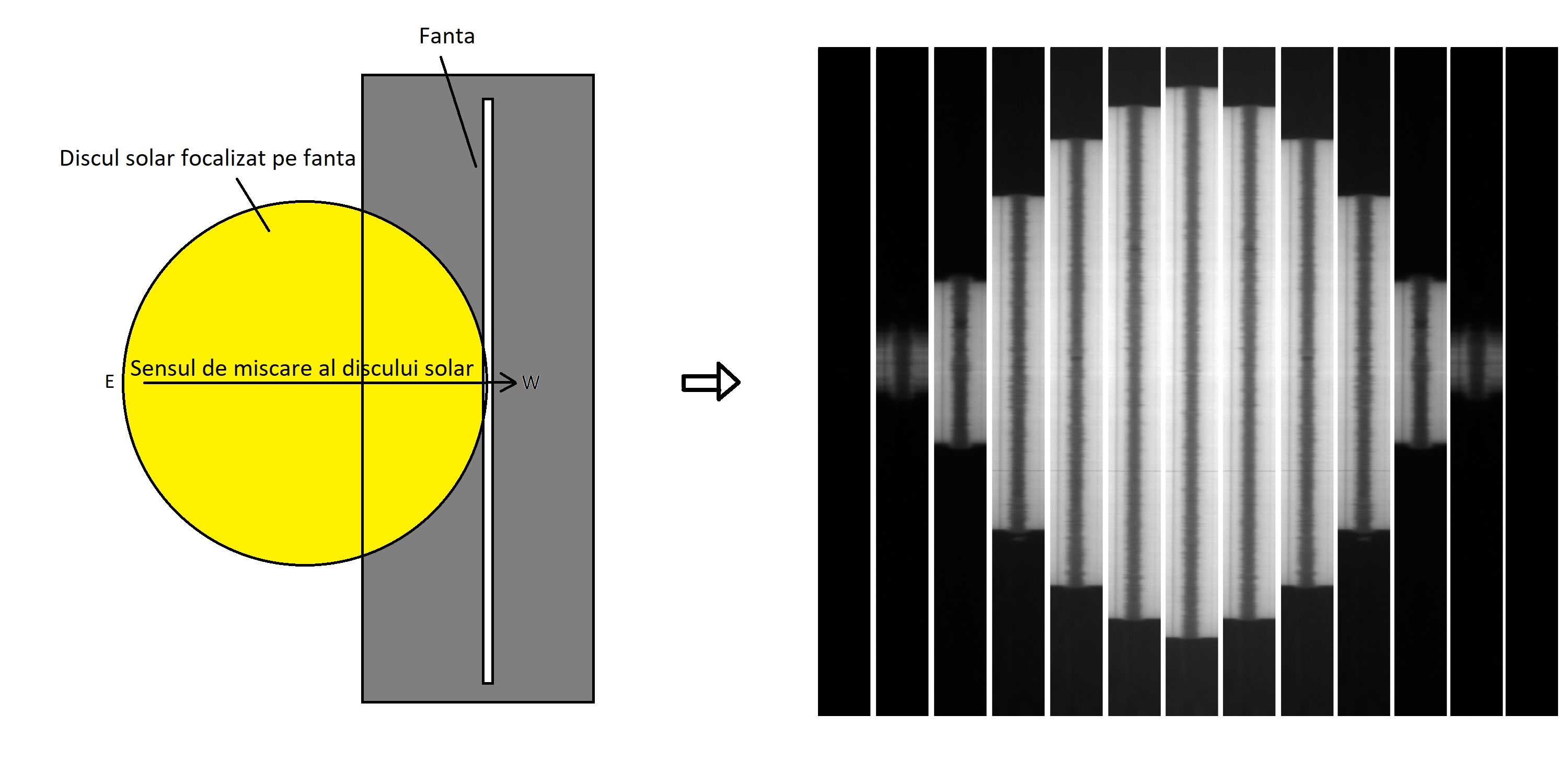 sp1 - Copy.jpg