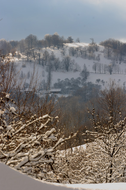 spirit-of-Nature08.jpg