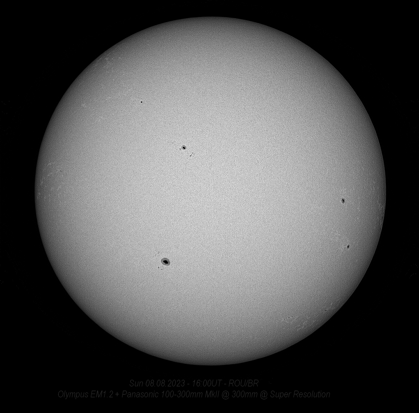 SR100-SunPanny300mmOlyEM1.2-8823r75.jpg