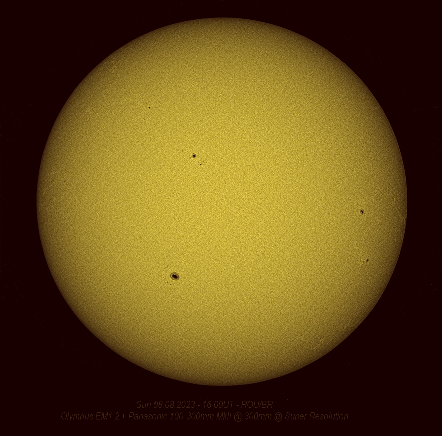 SR100-SunPanny300mmOlyEM1.2-8823r75y.jpg