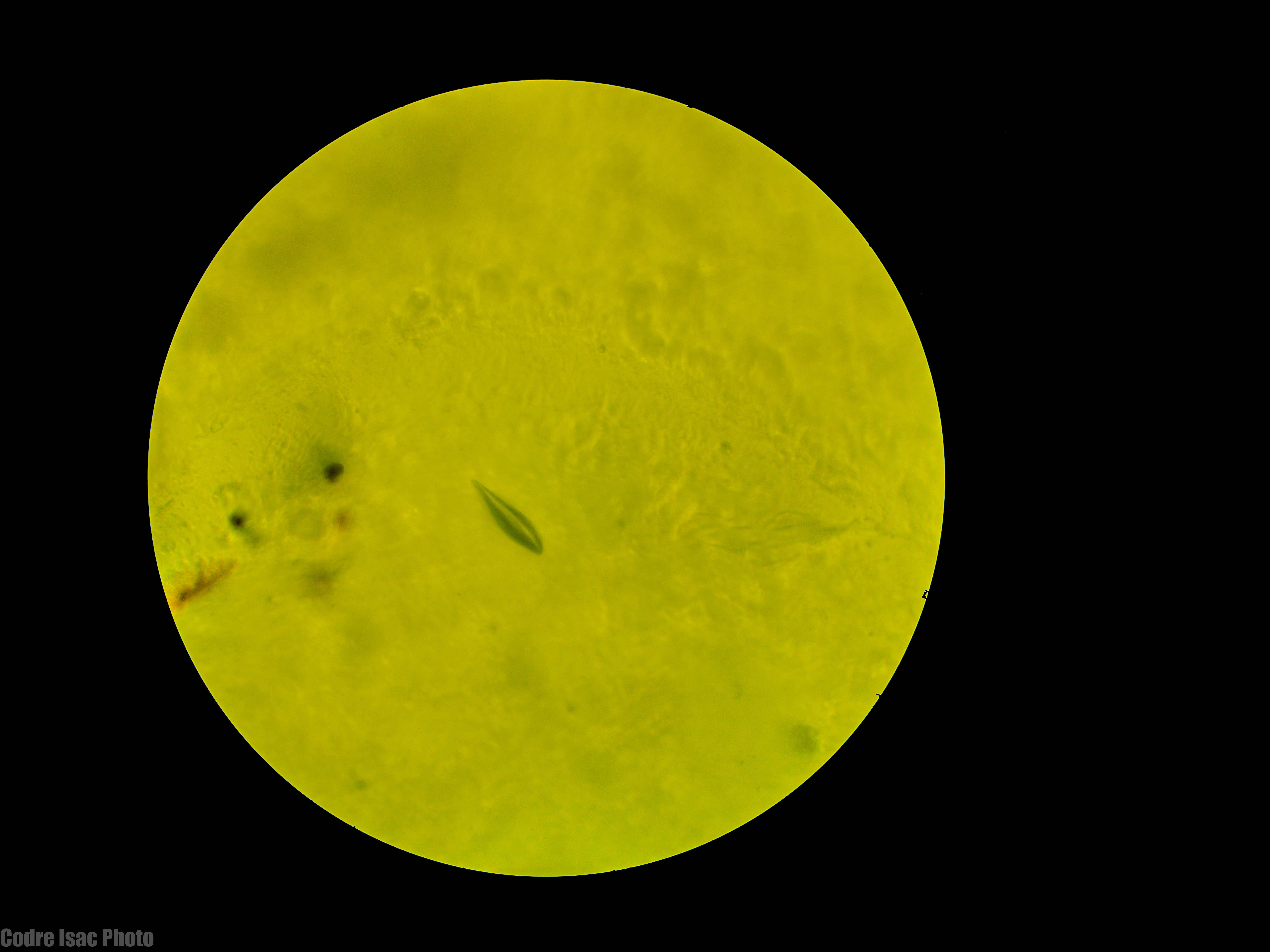 Sticla Desert Libiana micro 0.5mm.jpg