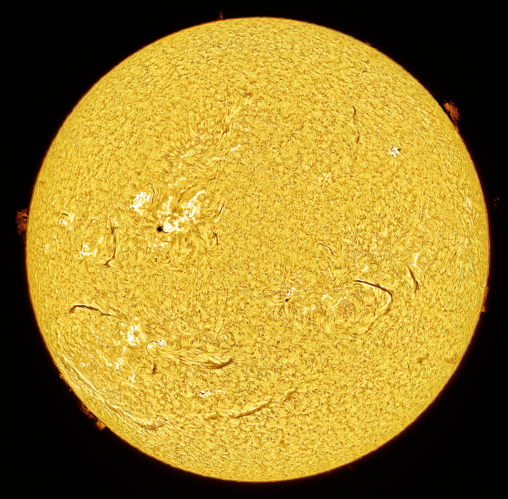 Sun09 01 2025.jpg