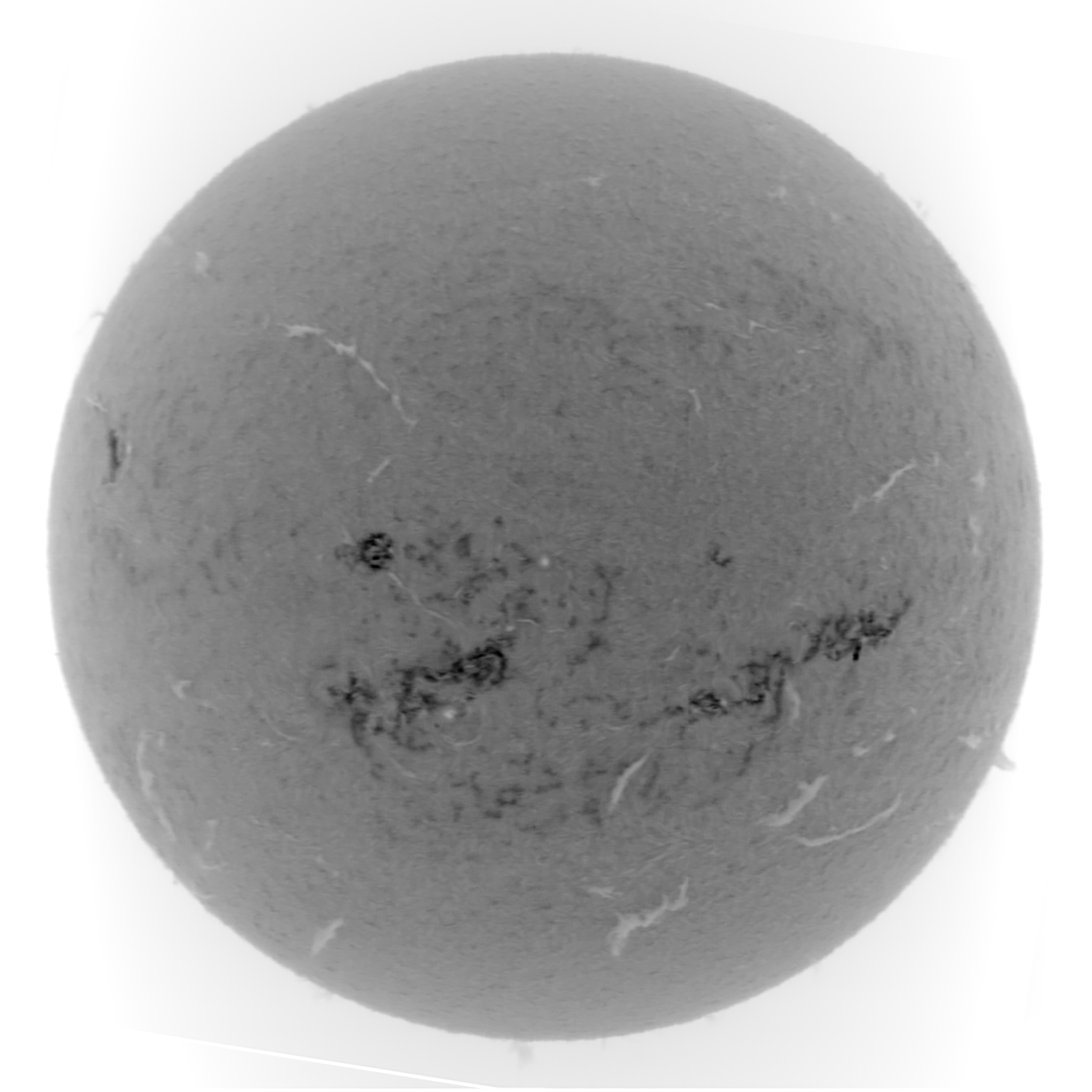 Sun_2024-07-28-0648_H-alpha_invert.jpg