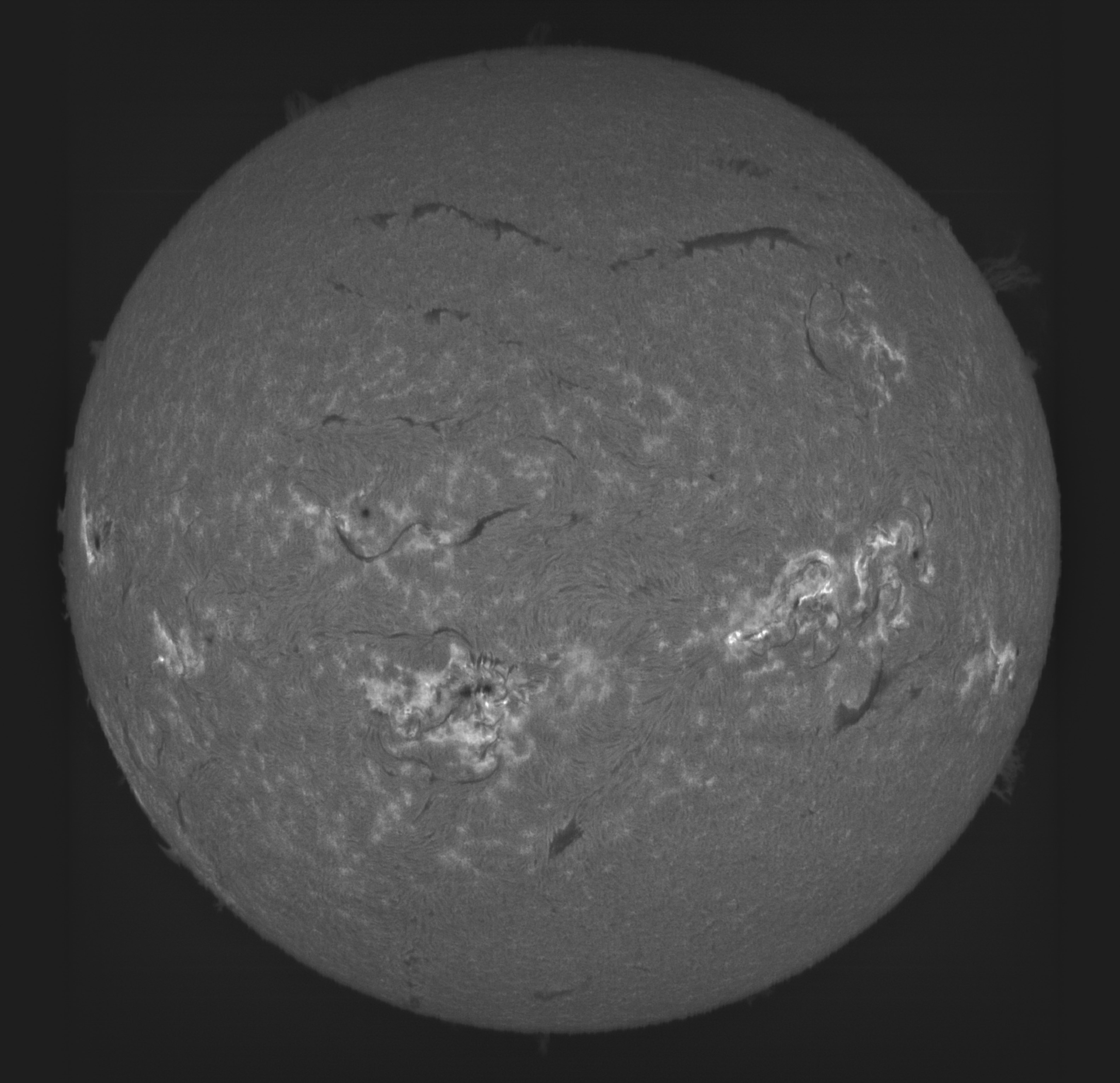 Sun_H-alpha_2024-08-09-0541-high-contrast.jpg