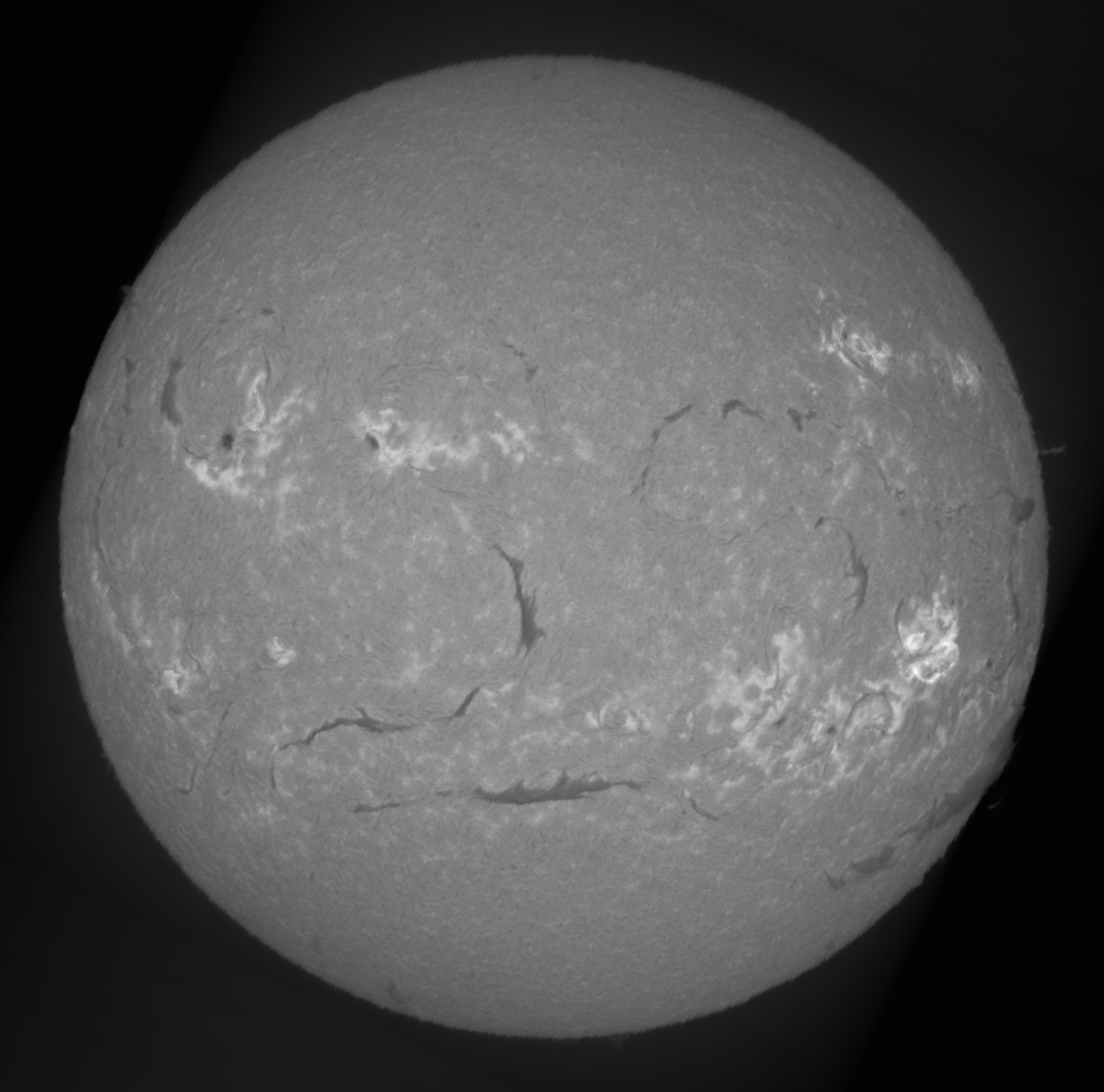 Sun_H-alpha_6563A_01-11-2024-high-contrast.jpg