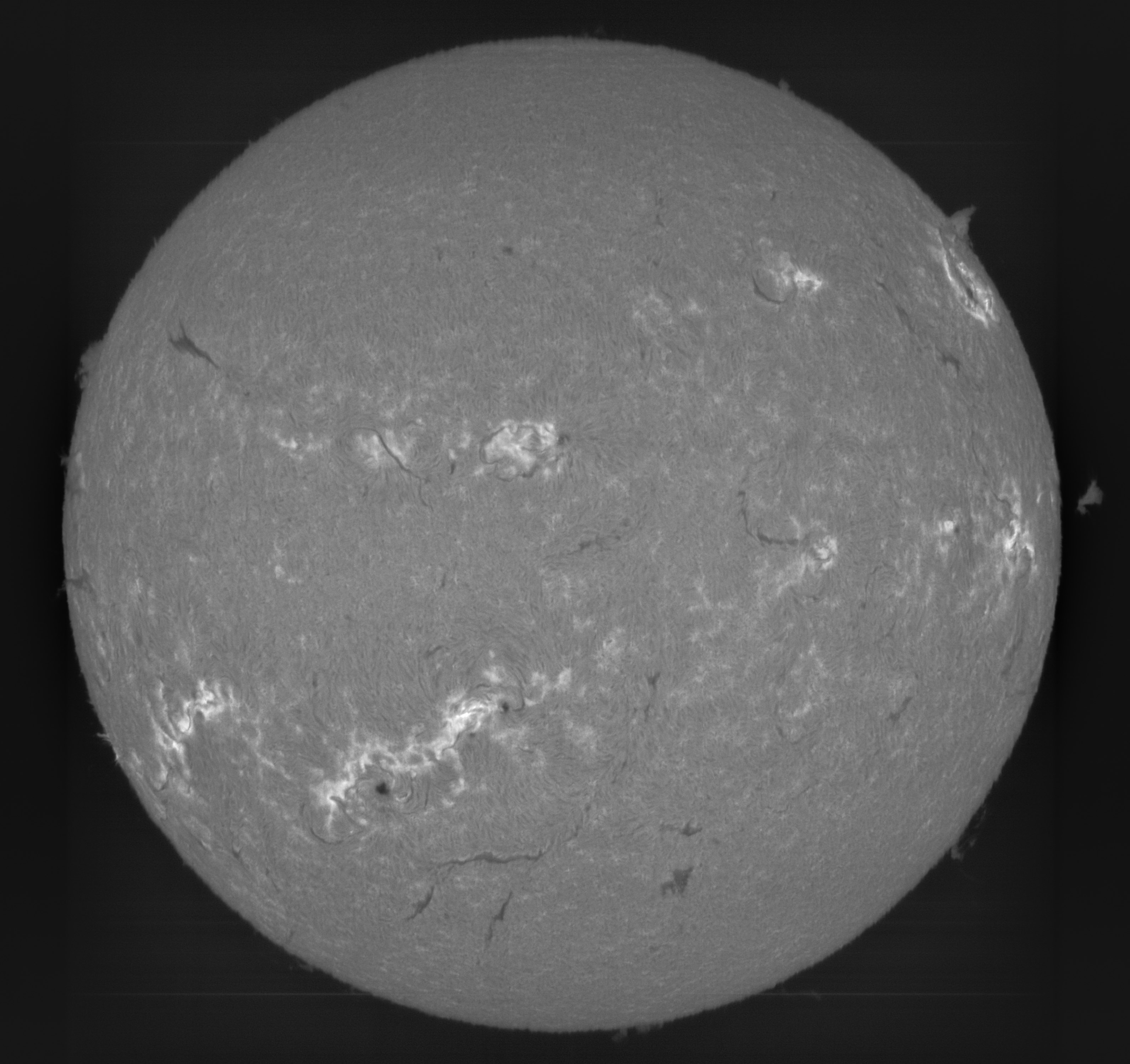 Sun_H-Alpha_6563A_20-08-2024.jpg