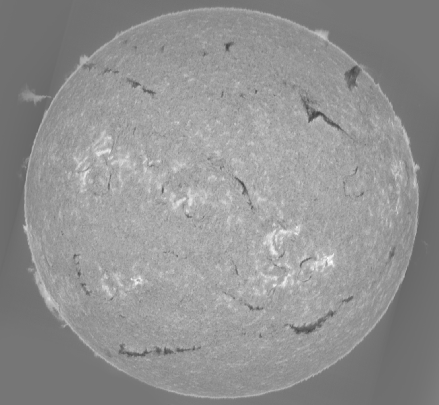 Sun_H-alpha-continuum-diff_SHG60mm_18-08-2025.jpg