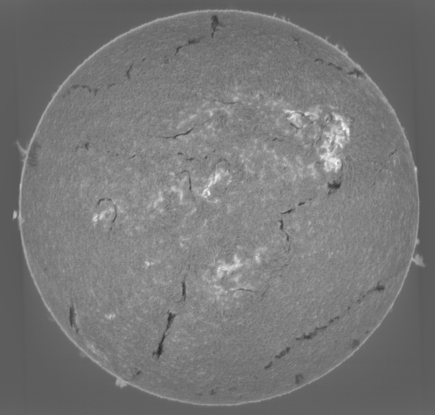 Sun_H-alpha-continuum-difference_SHG60mm_ASI178MM_05-10-2025.jpg