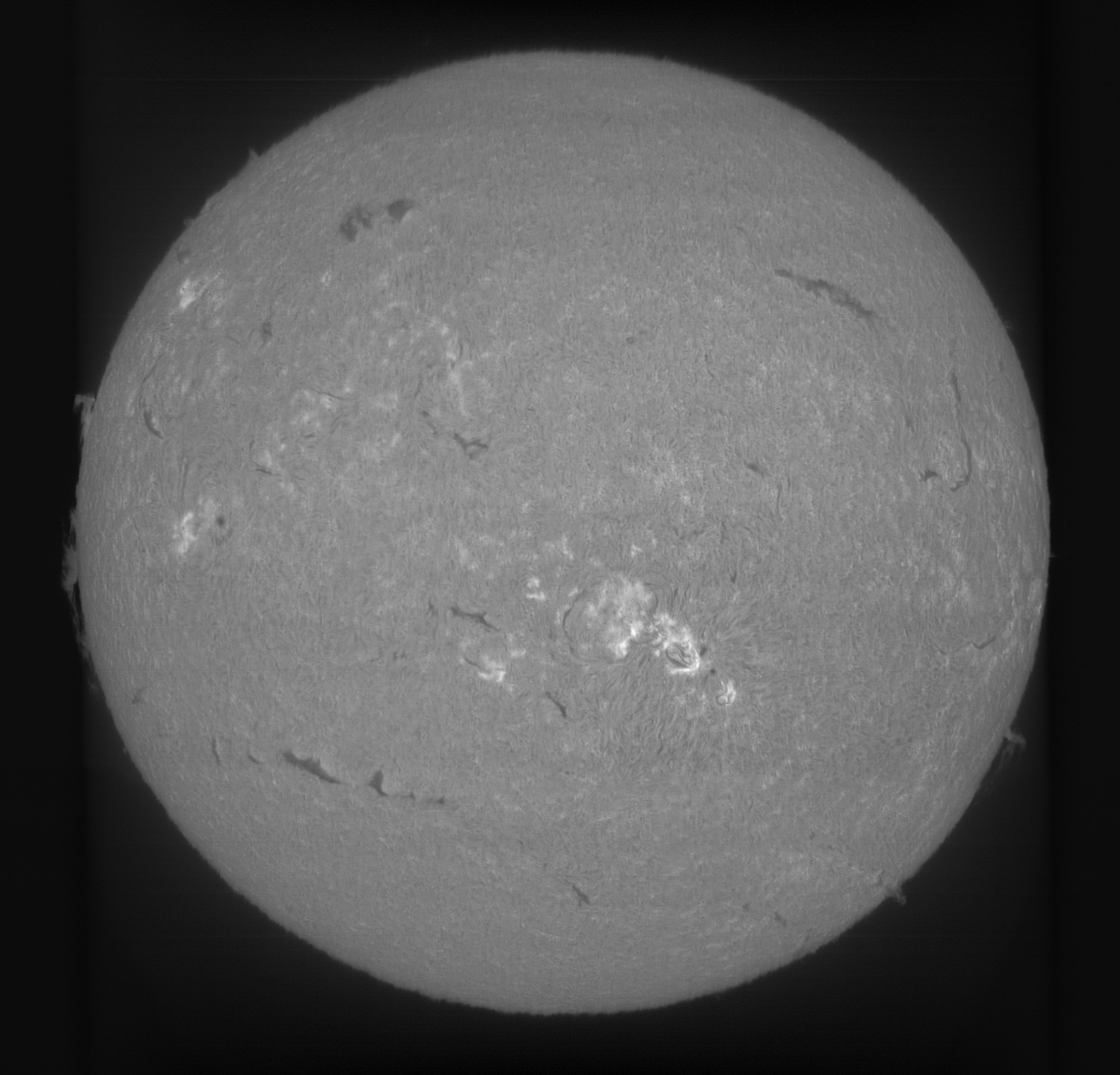 Sun_H-alpha_NewSHG_80mm_grating1800lmm_08-03-2025.jpg