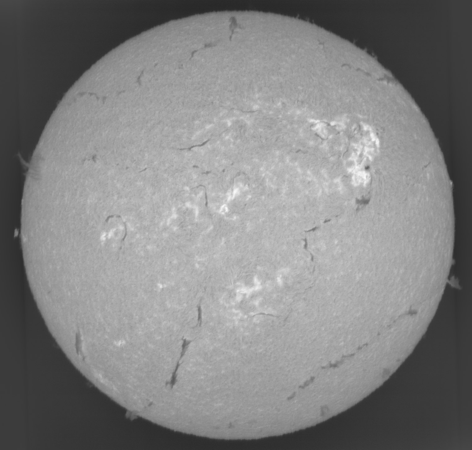Sun_H-alpha_SHG60mm_ASI178MM_05-10-2025.jpg