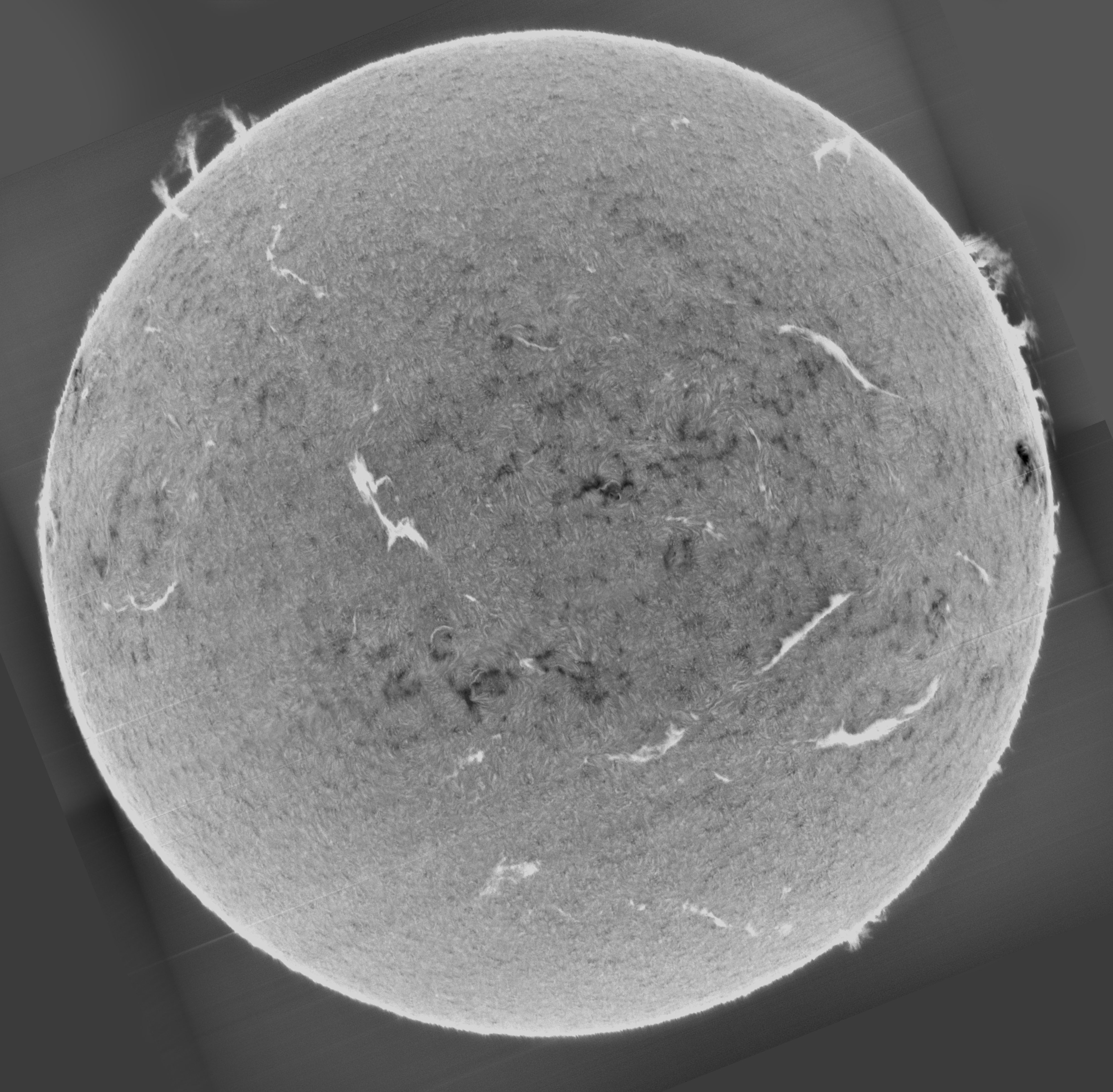 Sun_H-alpha_SHG80mm_mosaic_13-05-2025_prom-enhance-invert.jpg