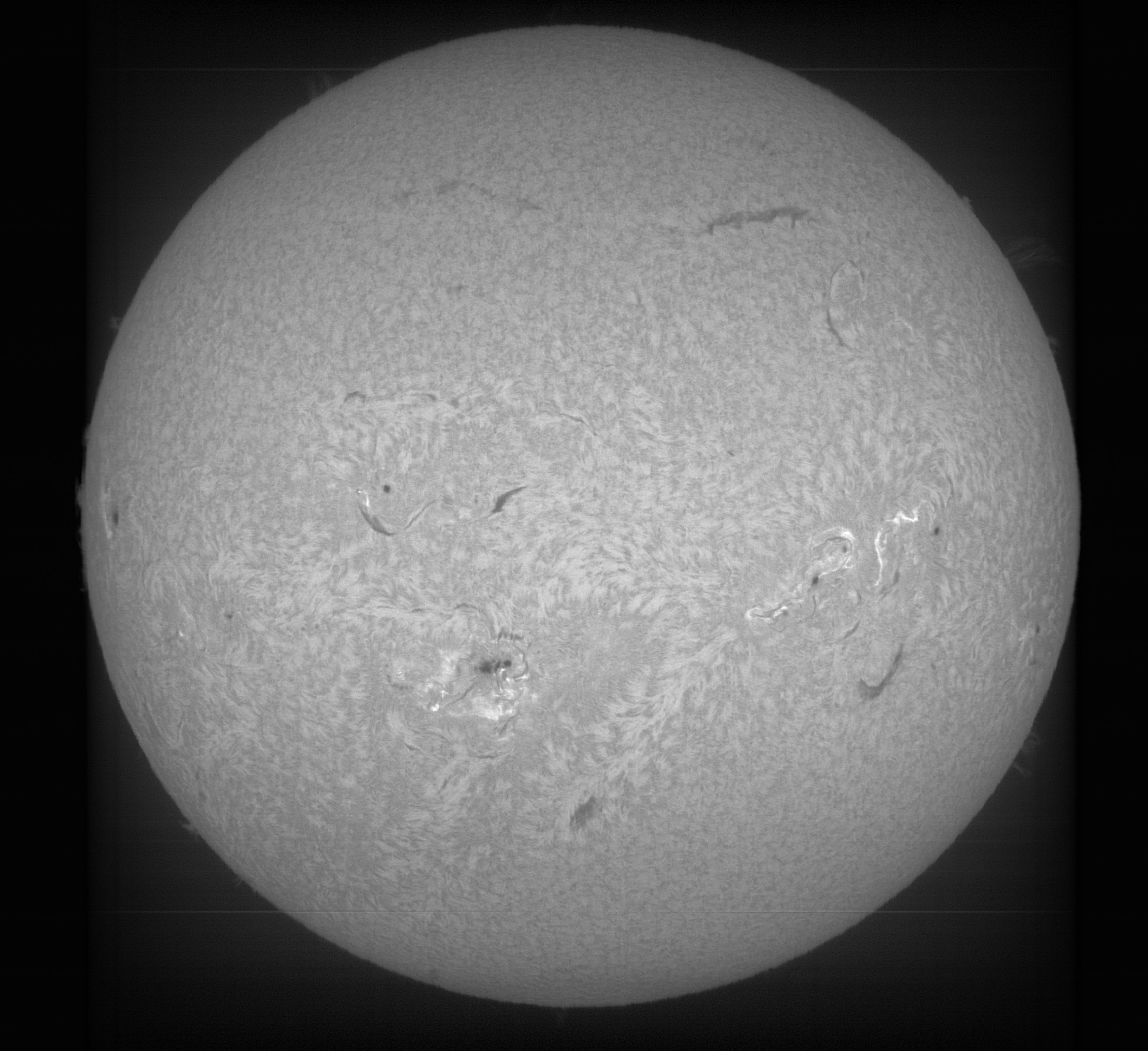 Sun_H-beta_2024-08-09-0600.jpg