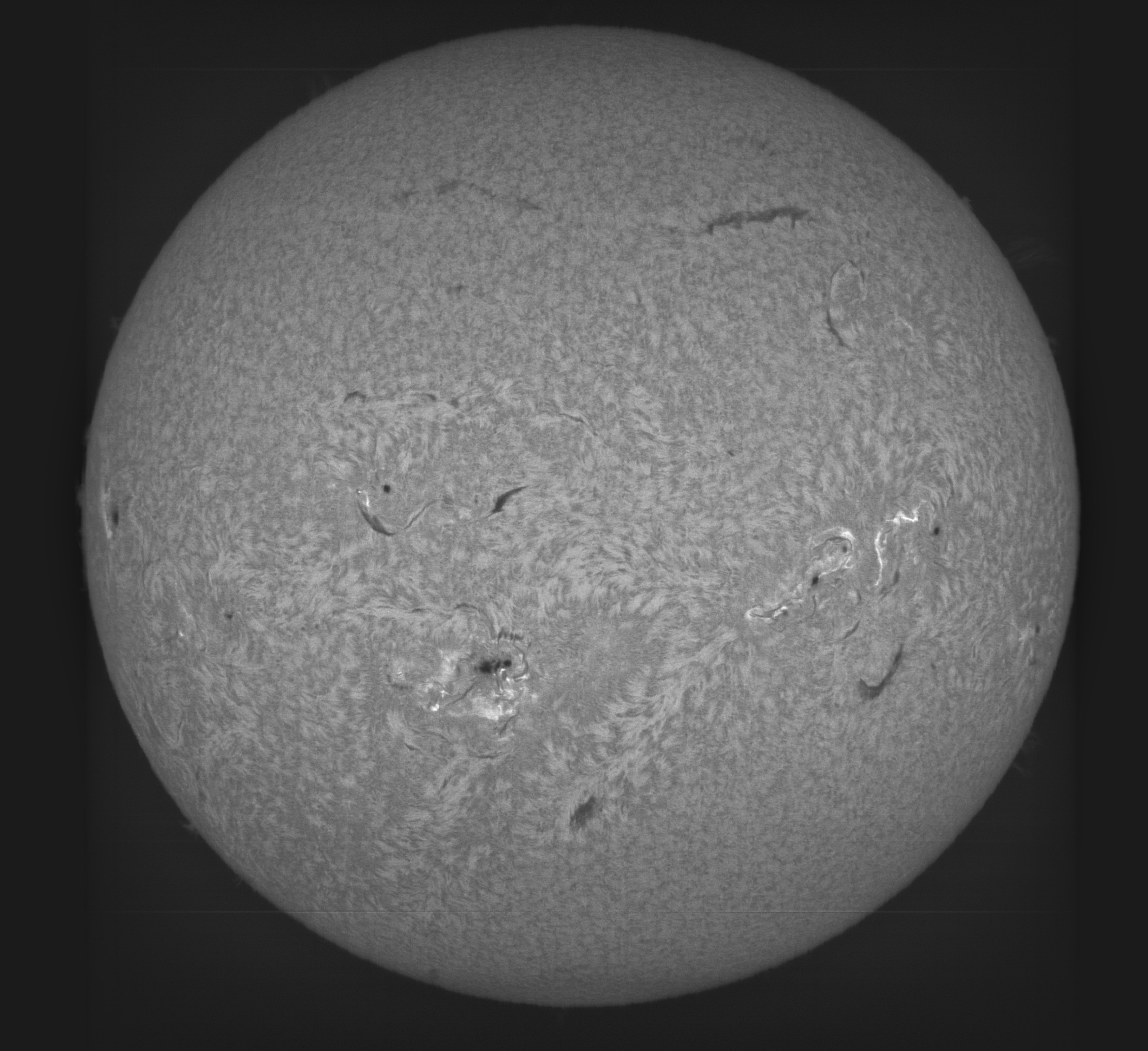 Sun_H-beta_2024-08-09-0600-high-contrast.jpg