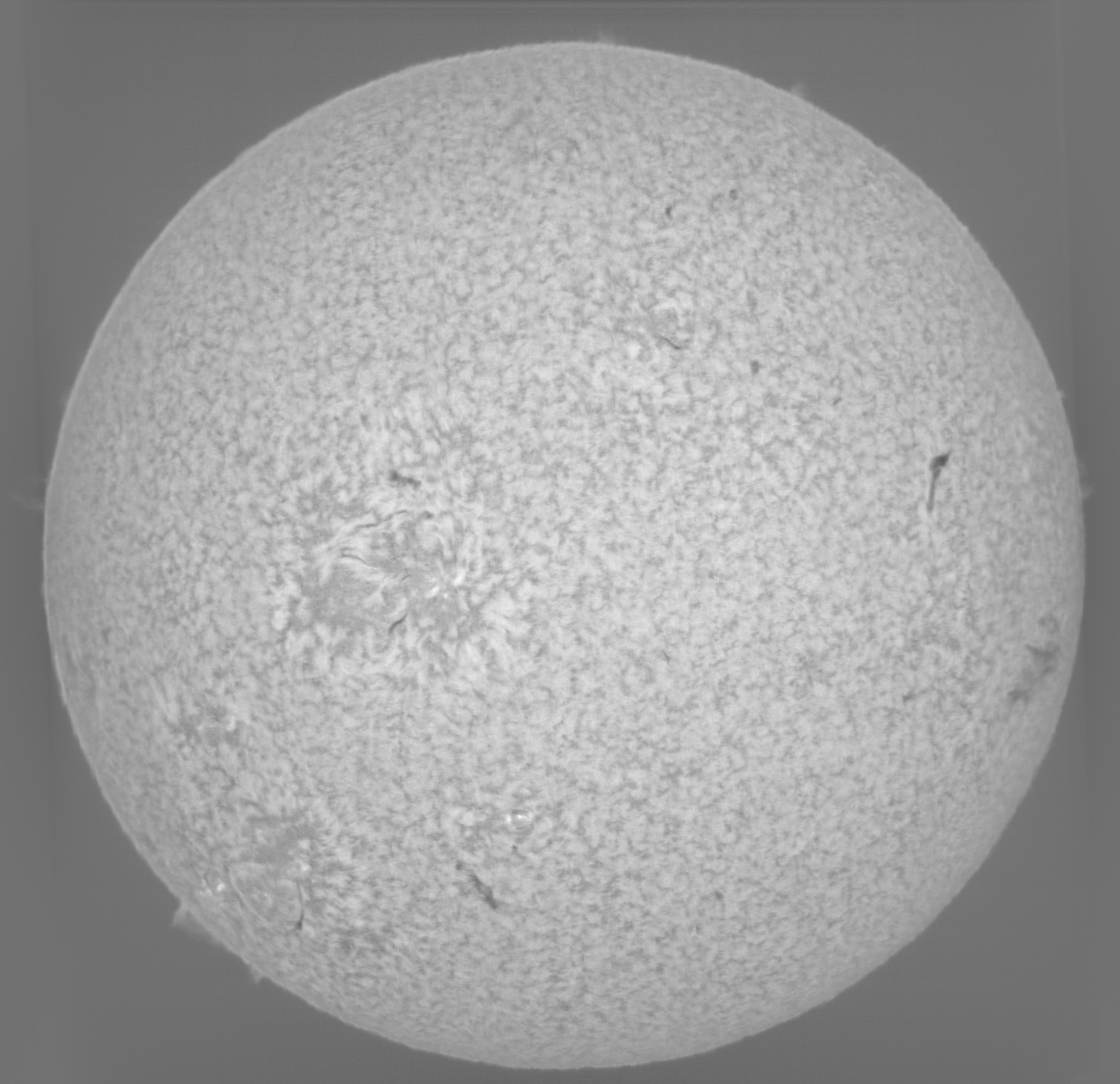 Sun_H-beta_diff_SHG60mm_ASI178M_16-09-2025.jpg