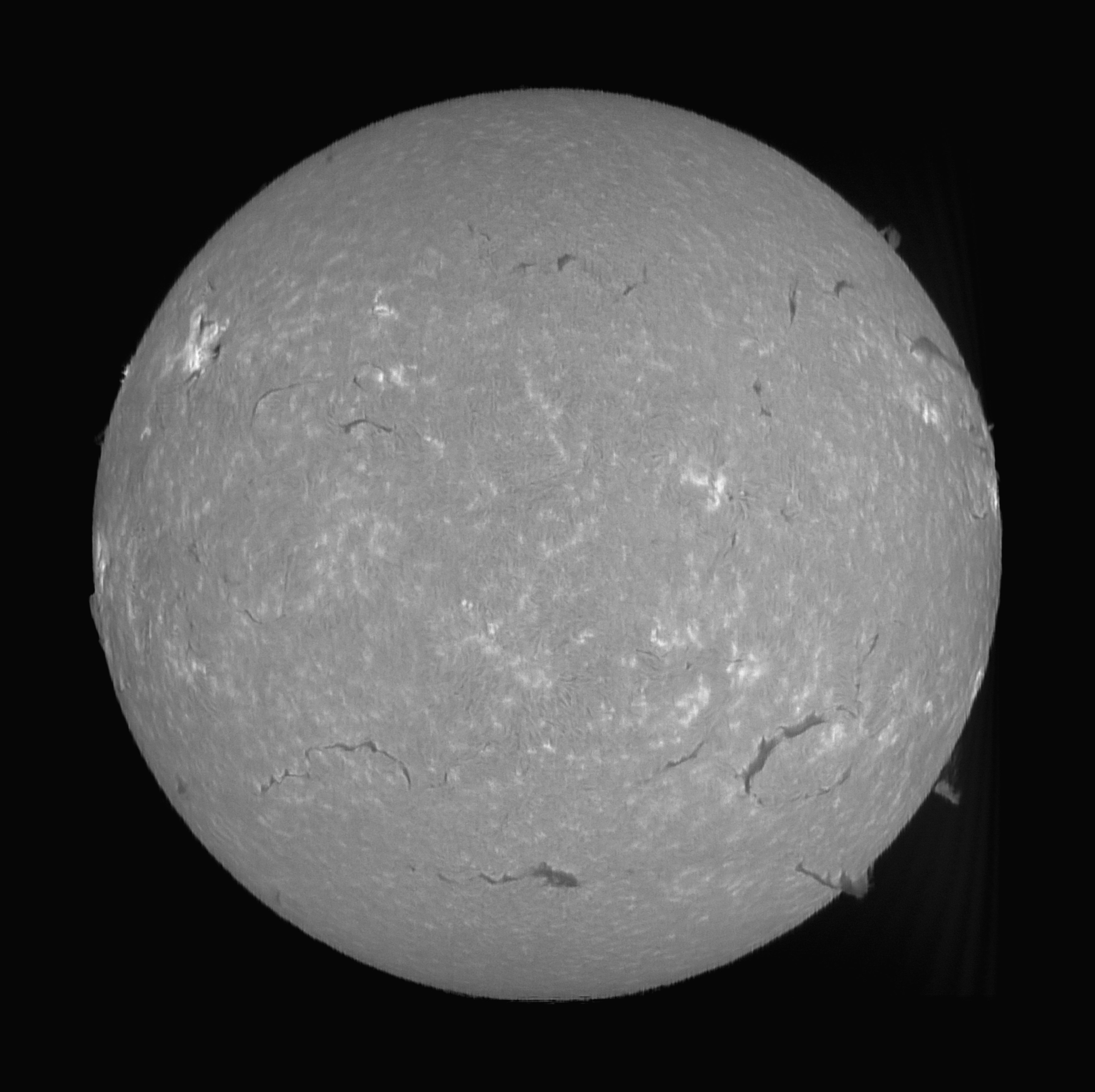 Sun_Ha_14-01-2025.jpg