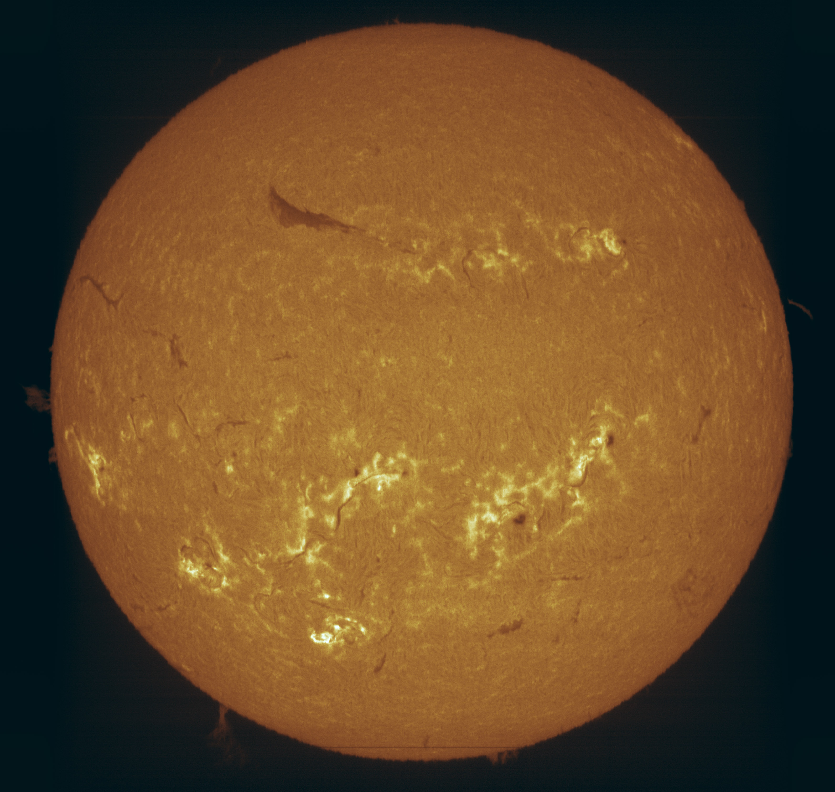Sun_Ha_6563A_23-08-2024.jpg