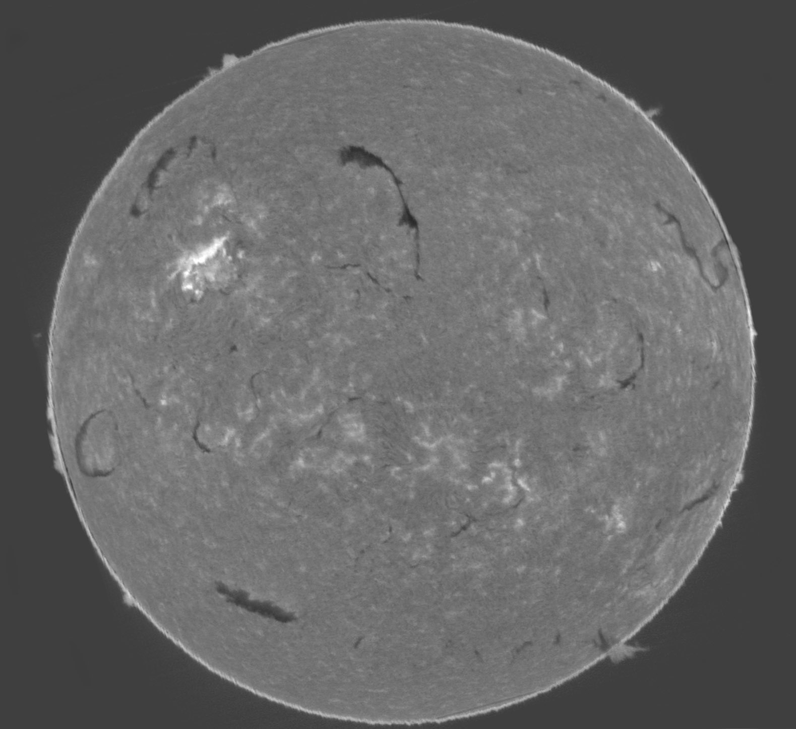 Sun_Ha-Continuum_diff_SHG60mm_02-05-2025.jpg