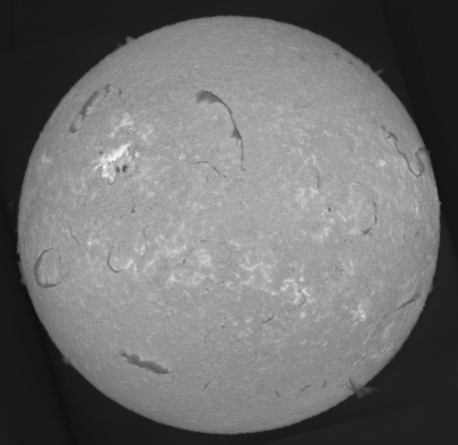 Sun_Ha_SHG60mm_02-05-2025.jpg