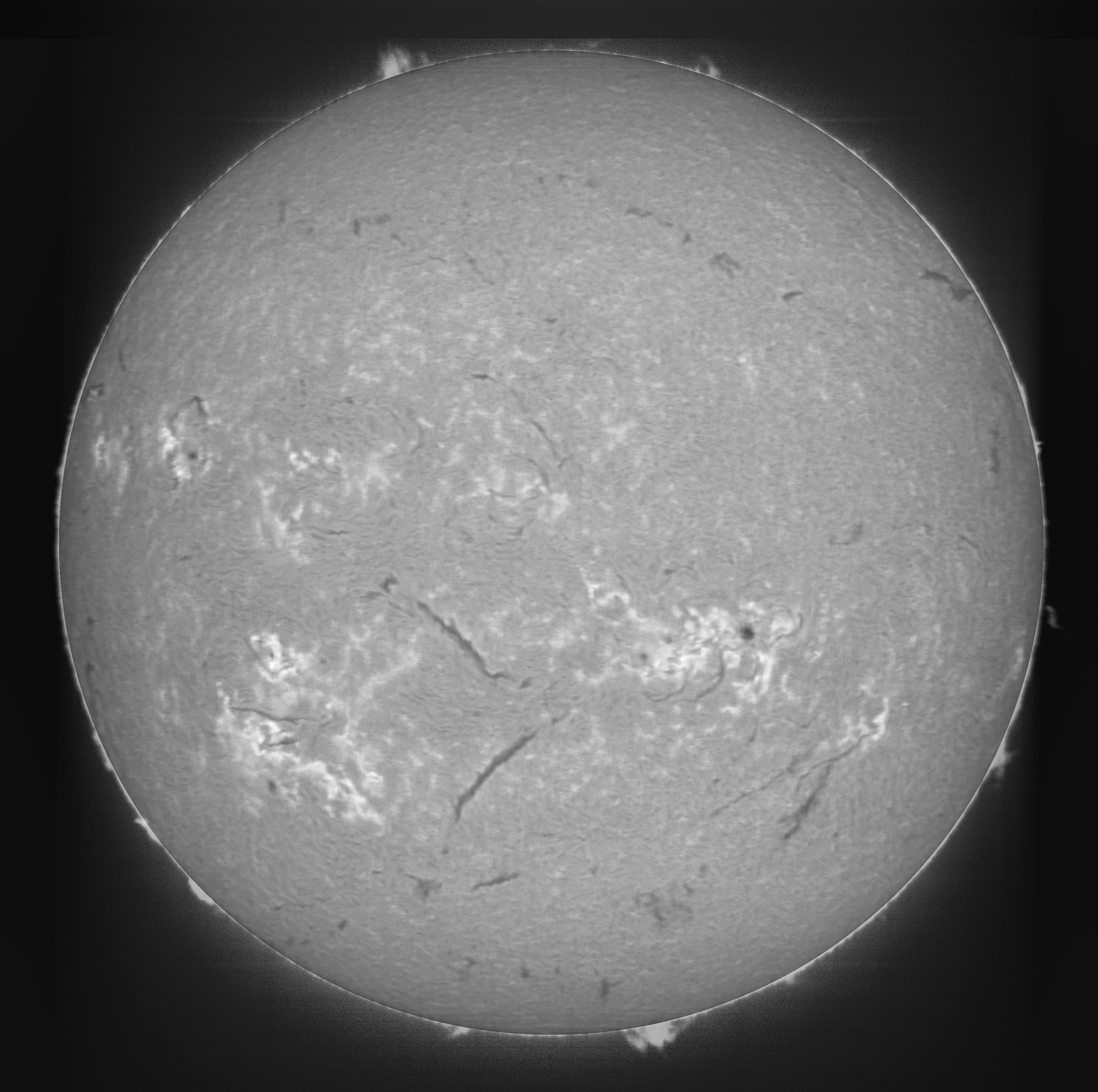 Sun_Ha_with_proms_12-07-2024-2.jpg
