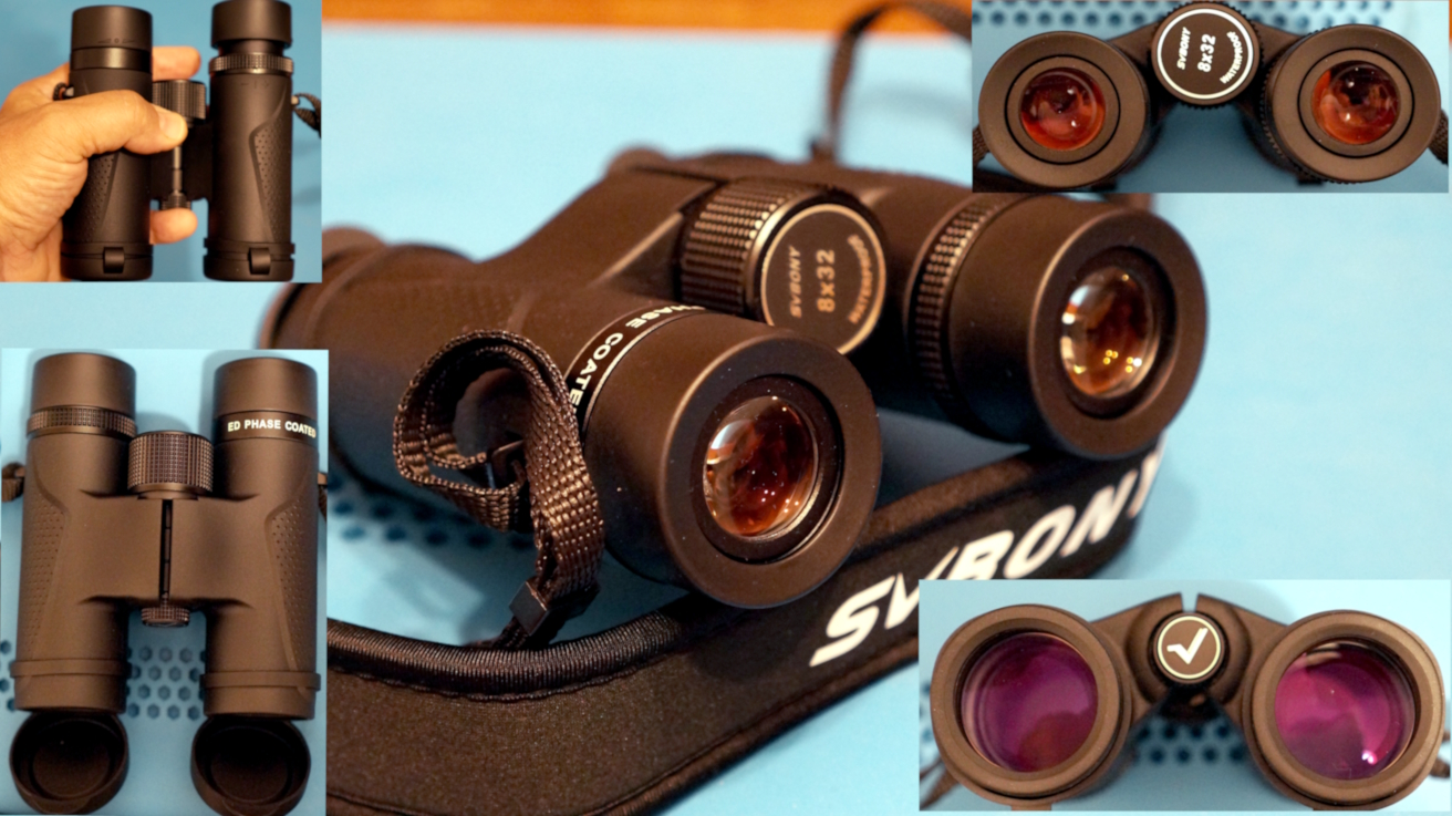 SV202_8x32mic.jpg