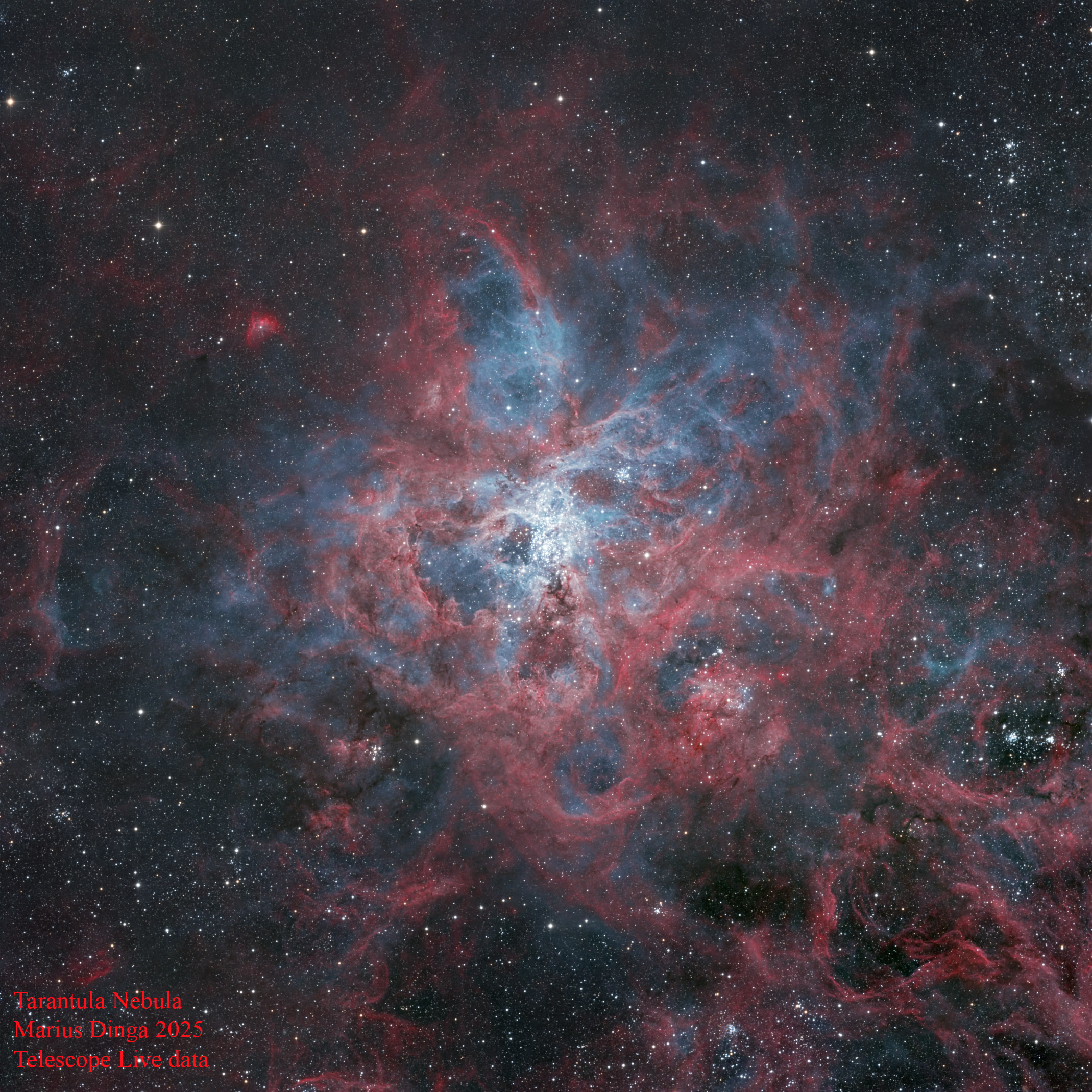 Tarantula Nebula_x0.7_sign.jpg