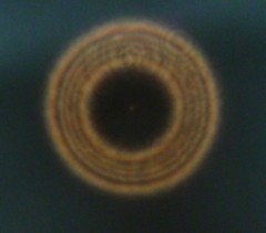 TEST_2.jpg