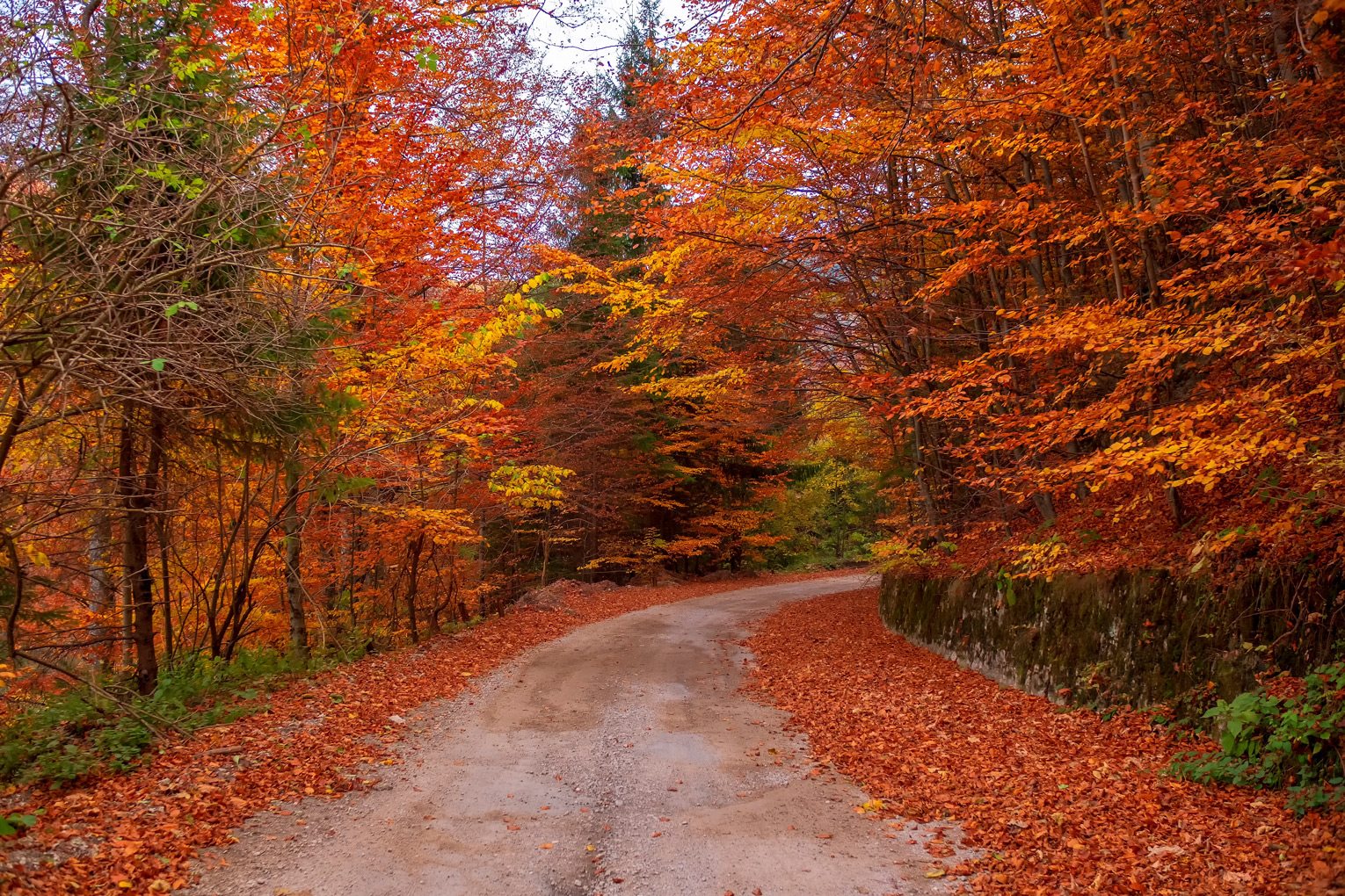 the secret road in Romania (1).jpg