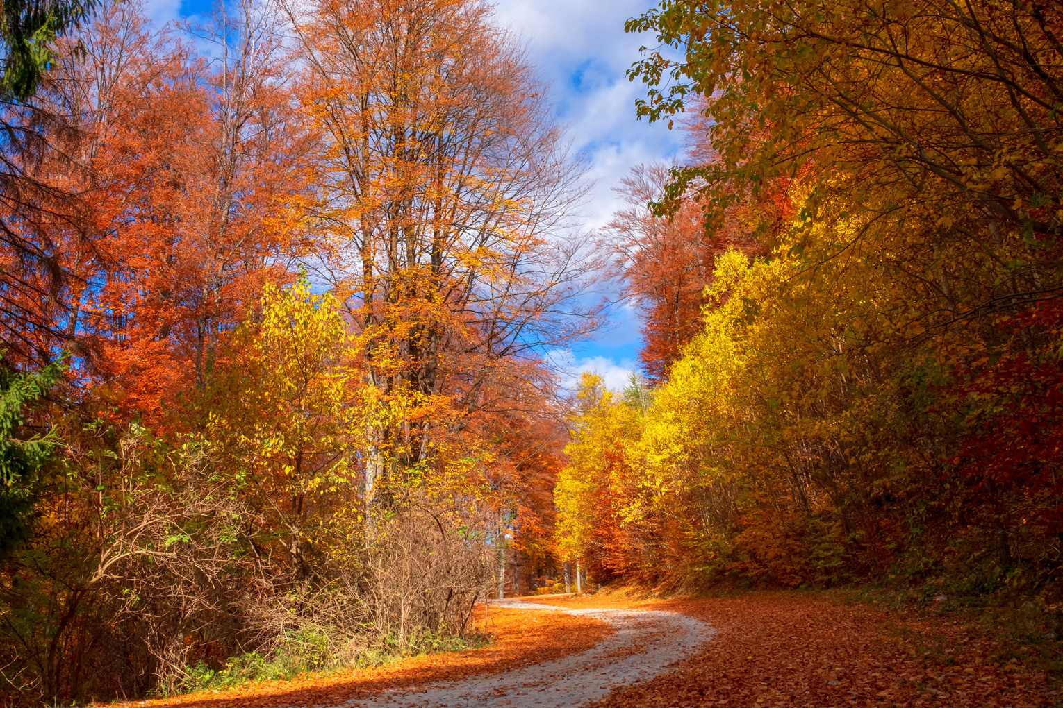 the secret road in Romania (3).jpg