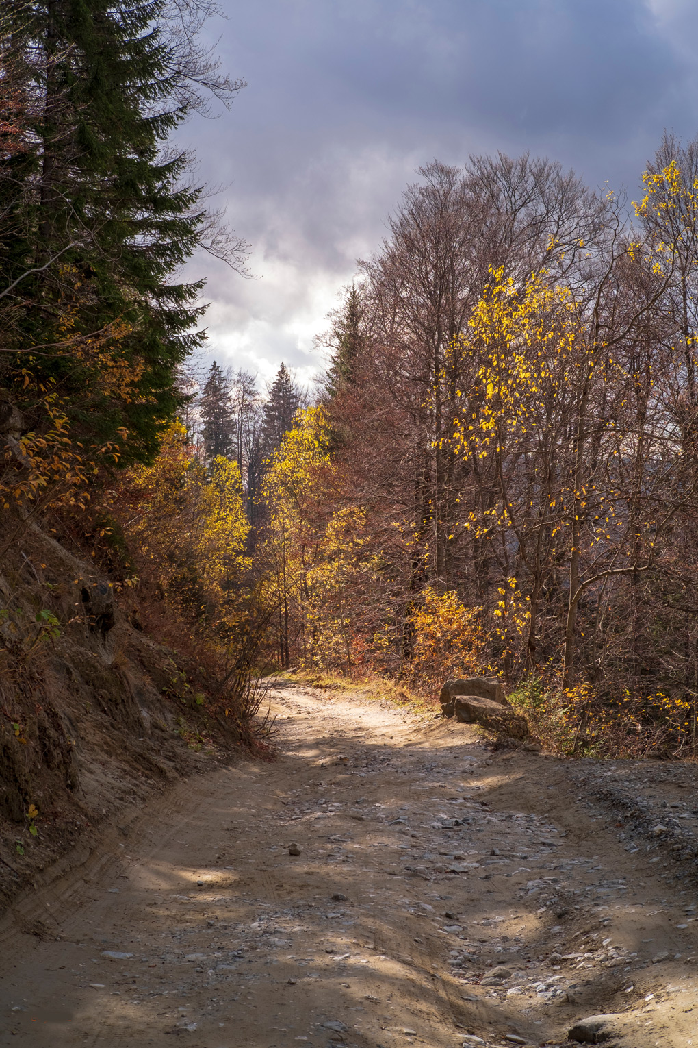 the secret road in Romania (5).jpg