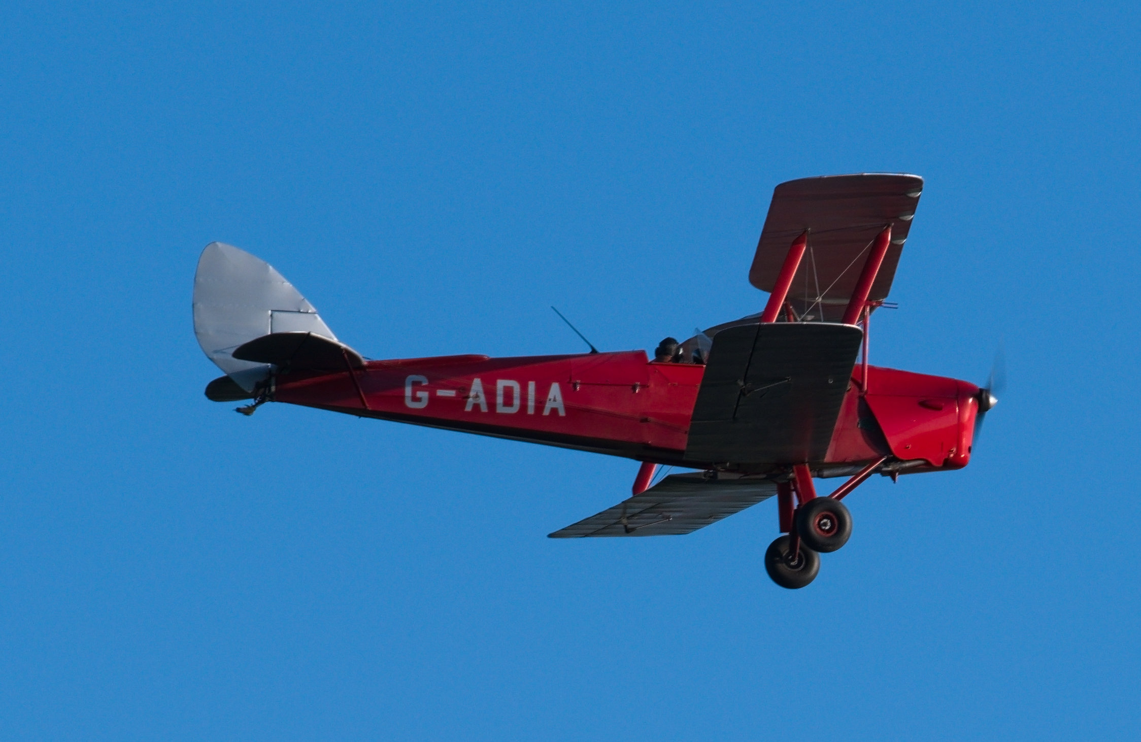 Tiger Moth 2.jpg