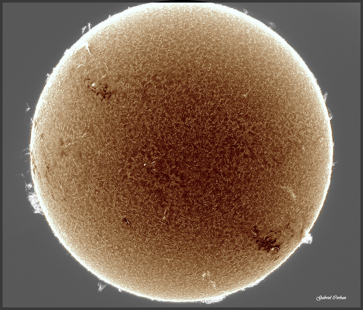 U2- DS 3 perfect inverse TX ----Col3JG 500 9.jpg