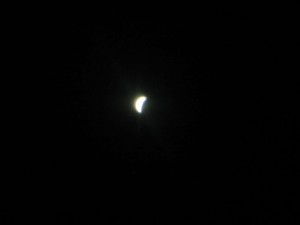 venus1.jpg