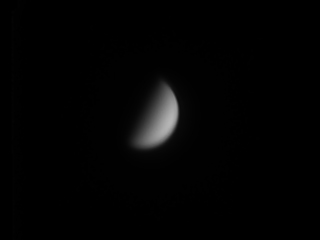 venus_04-01-2025.jpg