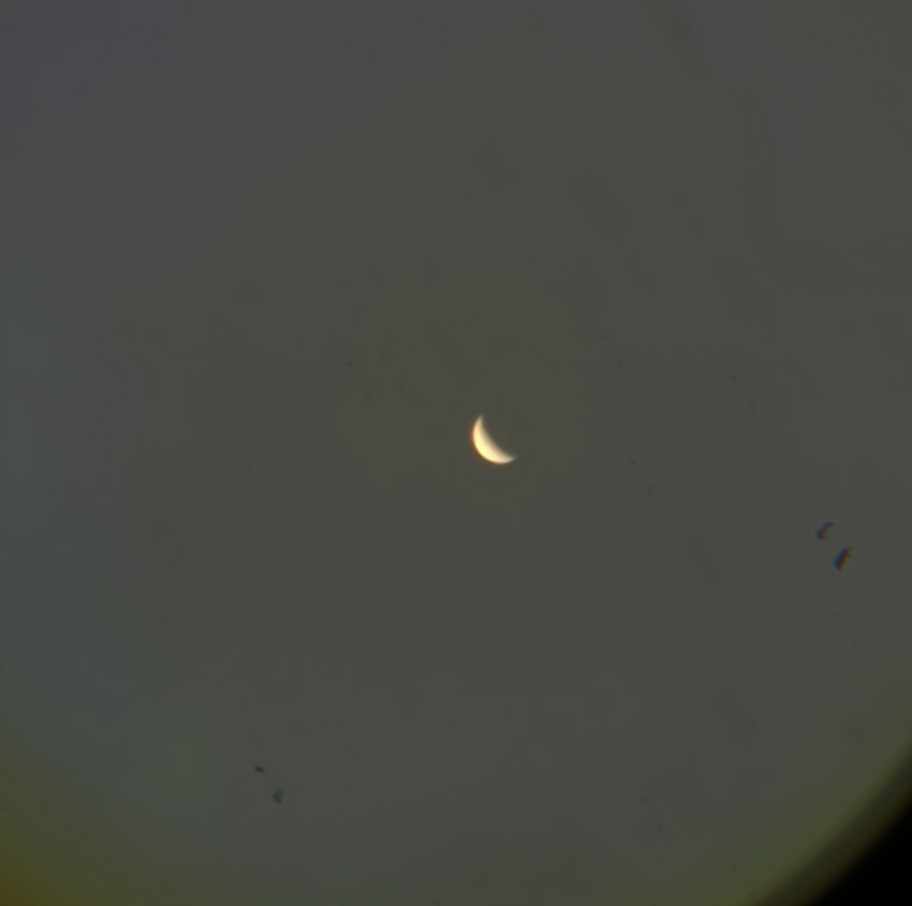 venus.jpg