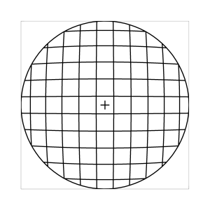 Verzeichnetes_Gitter_k1.gif