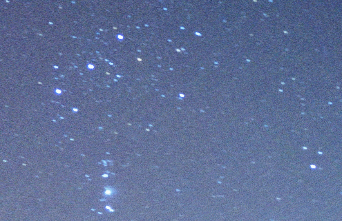 wide crop.jpg