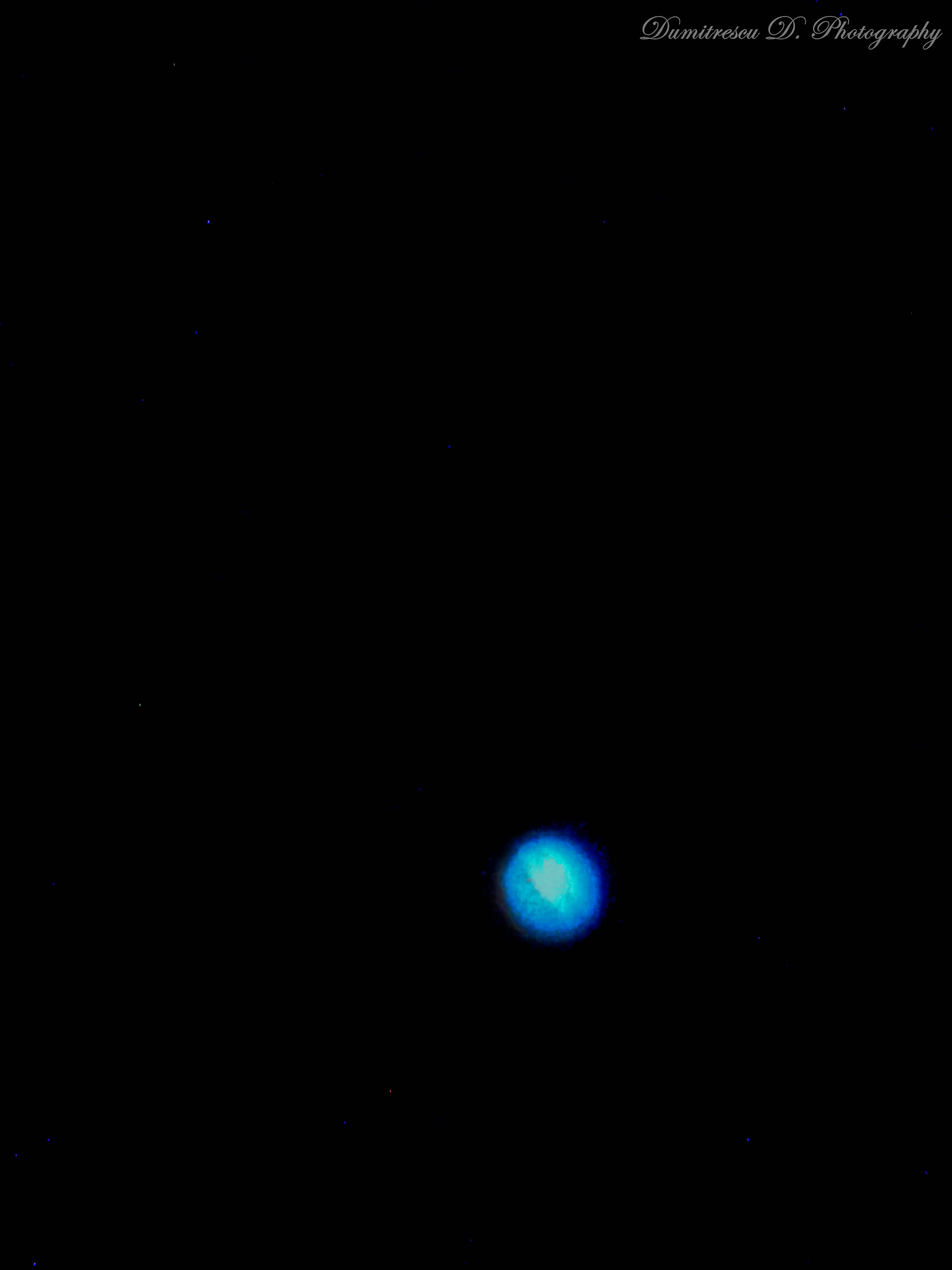 WP_004548.jpg