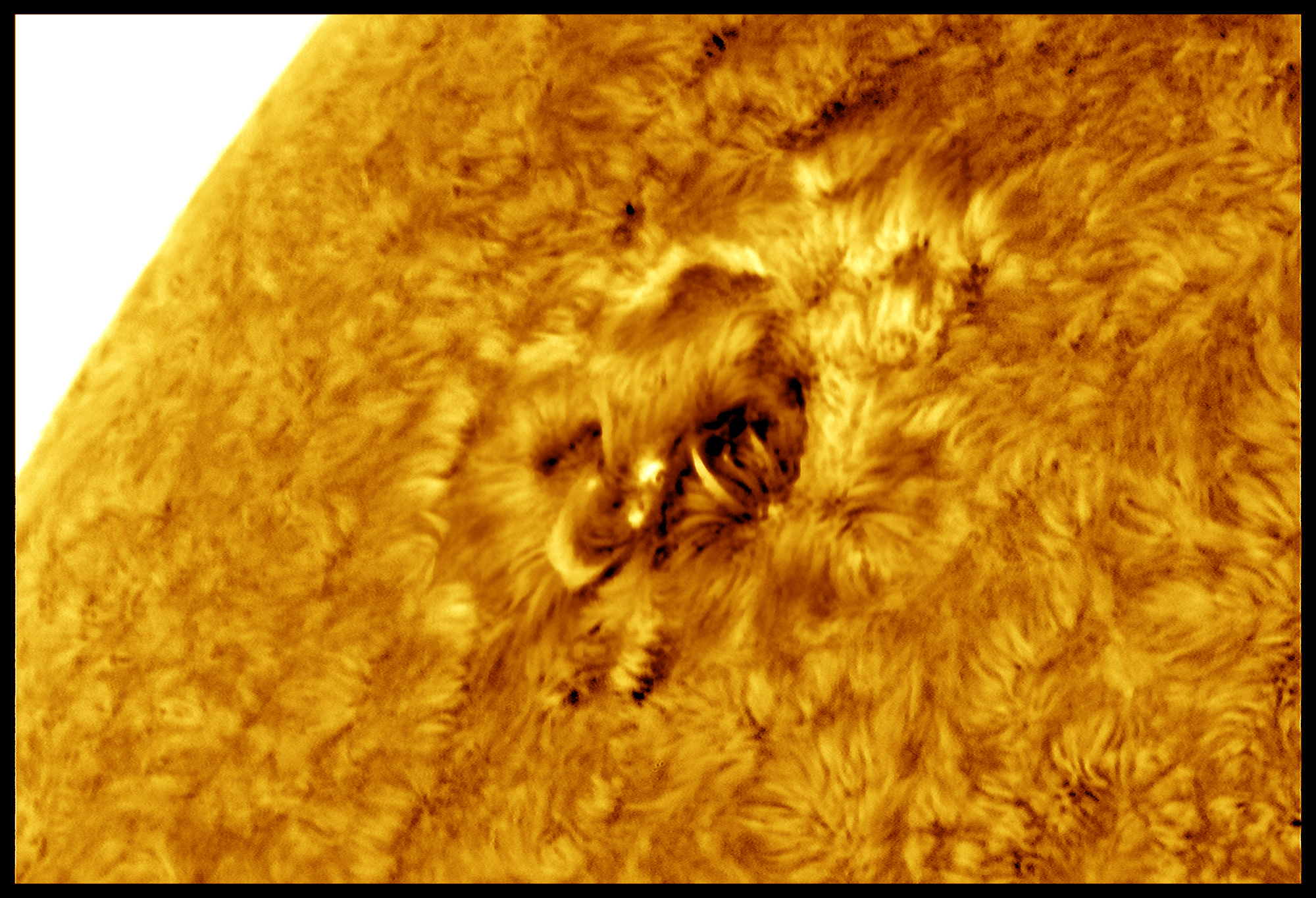 Z PS1 OK2 dir JG red col.jpg