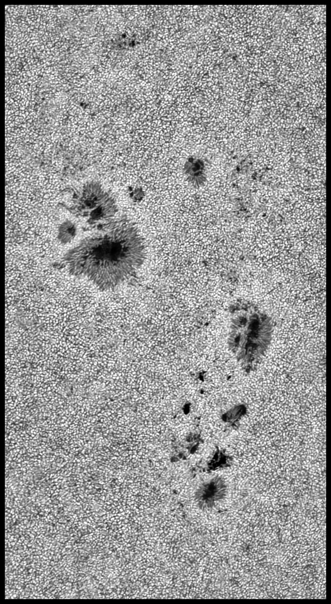 ZZ1 PS1 bd JG red.jpg