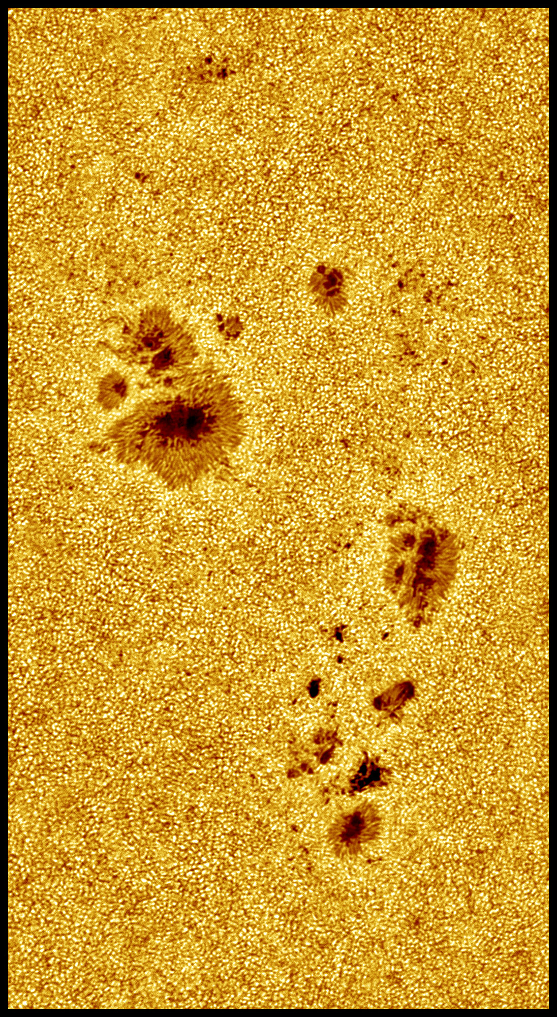 ZZ1 PS1 bd JG red col.jpg