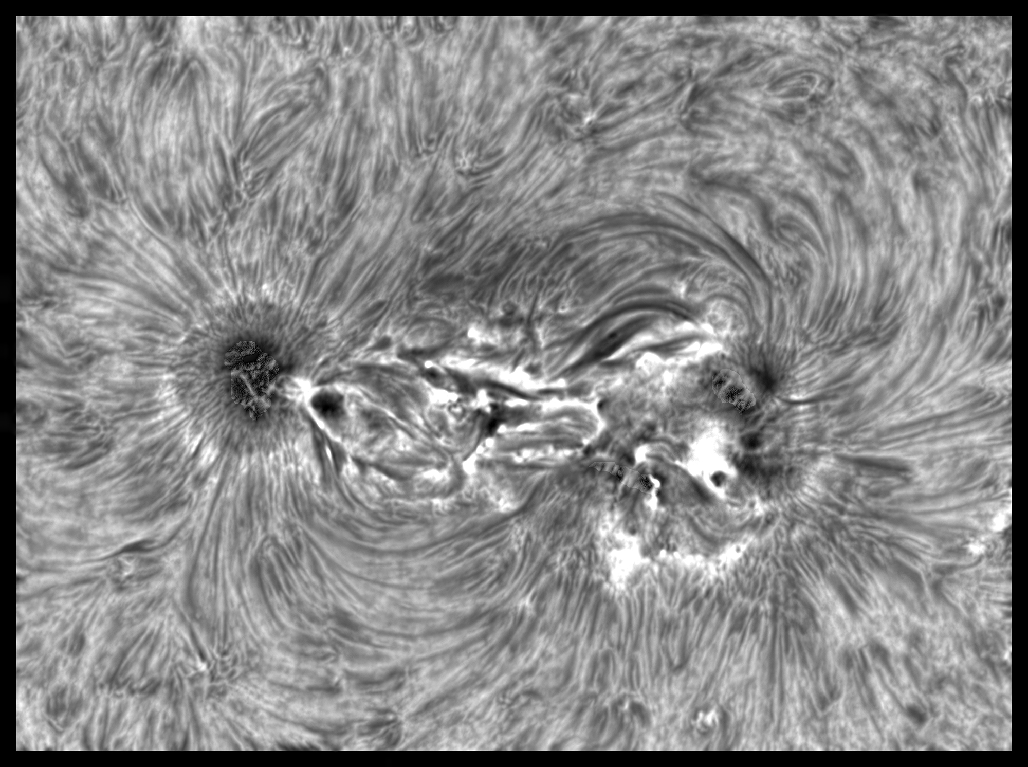 ZZ1 Ti--X PS2 JG red 2.jpg