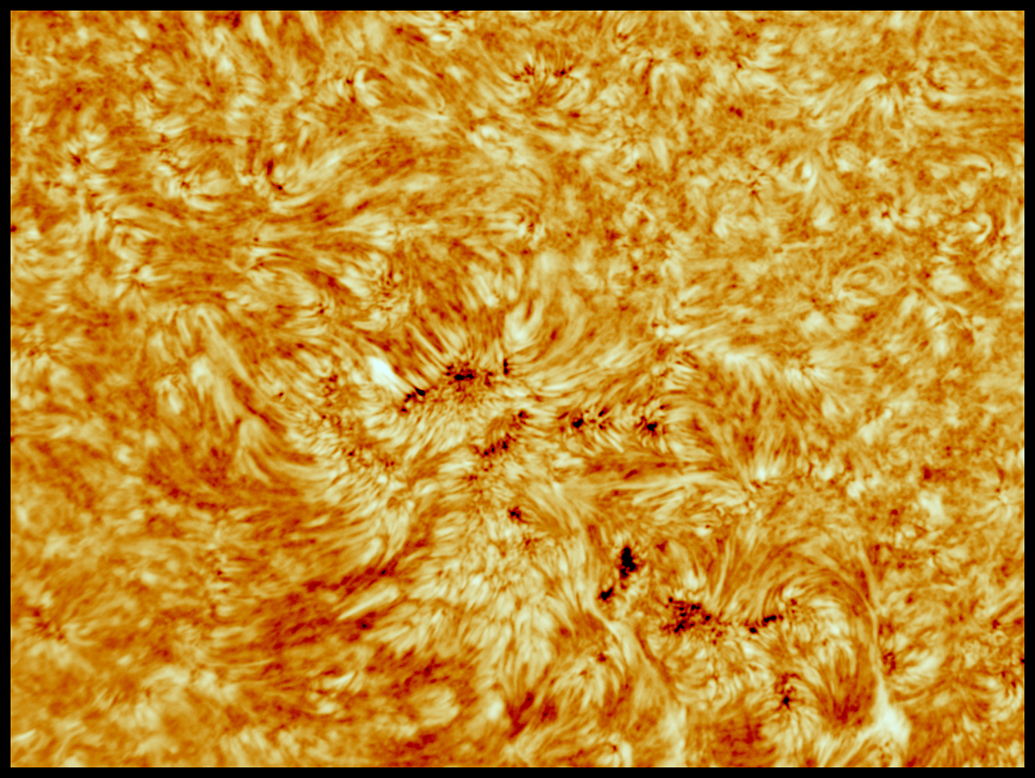 ZZ PS1 col JG red.jpg